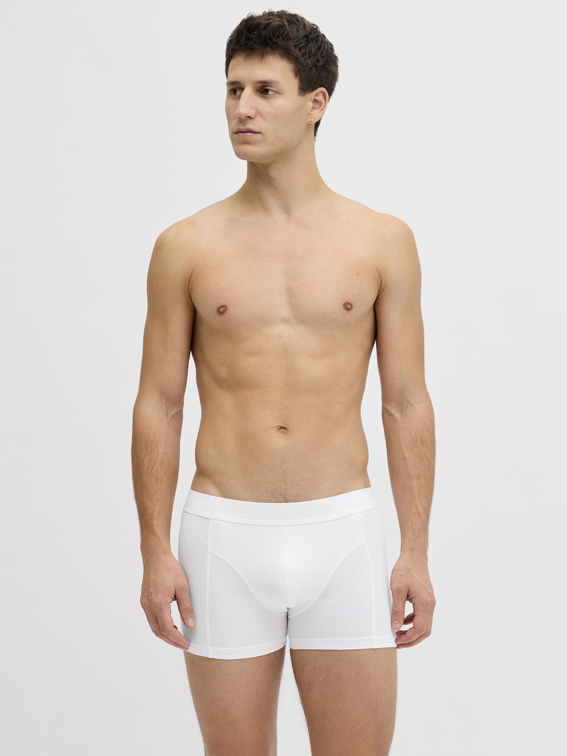 model_shot-creative